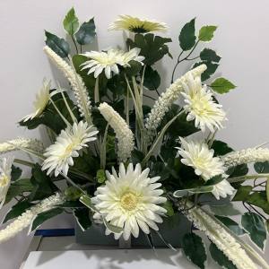 GERBERA CLASICA BLANCO