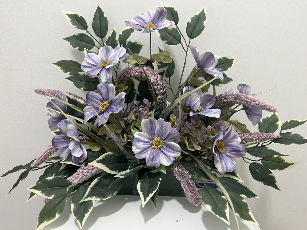 Gerbera moderna